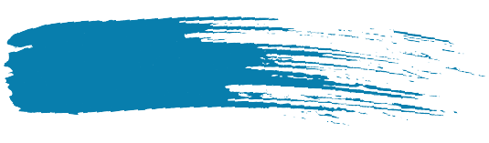 Tax Reports